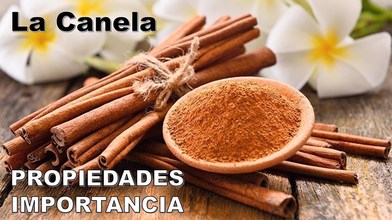 CANELA PROPIEDADES VENTAJAS