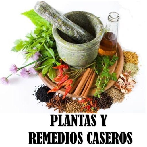 PLANTAS Y REMEDIOS CASEROS 🌿